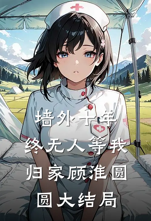 墙外十年，终无人等我归家顾淮圆圆大结局