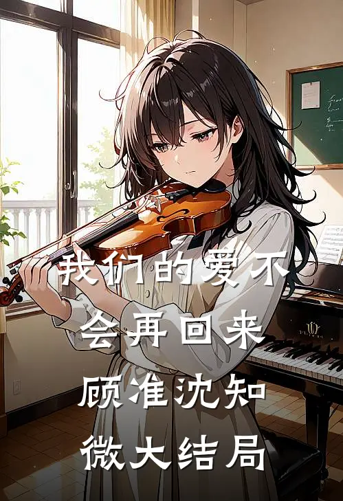 我们的爱不会再回来顾准沈知微大结局
