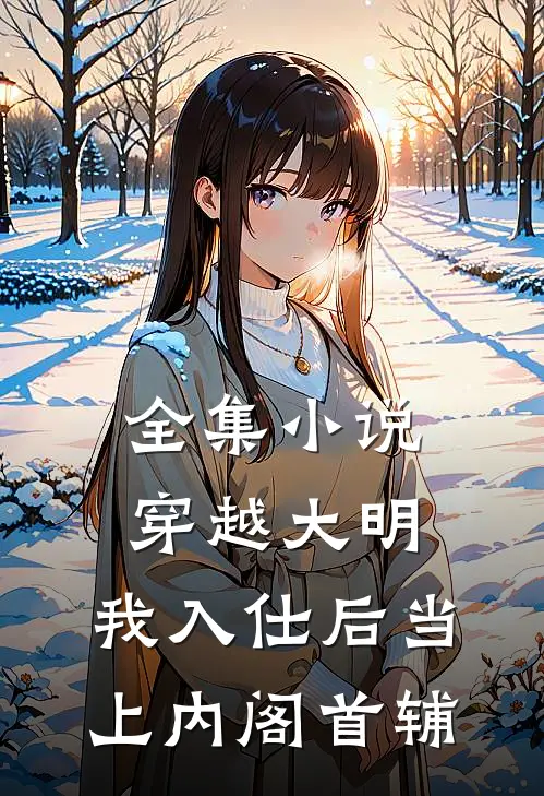 全集小说穿越大明，我入仕后当上内阁首辅