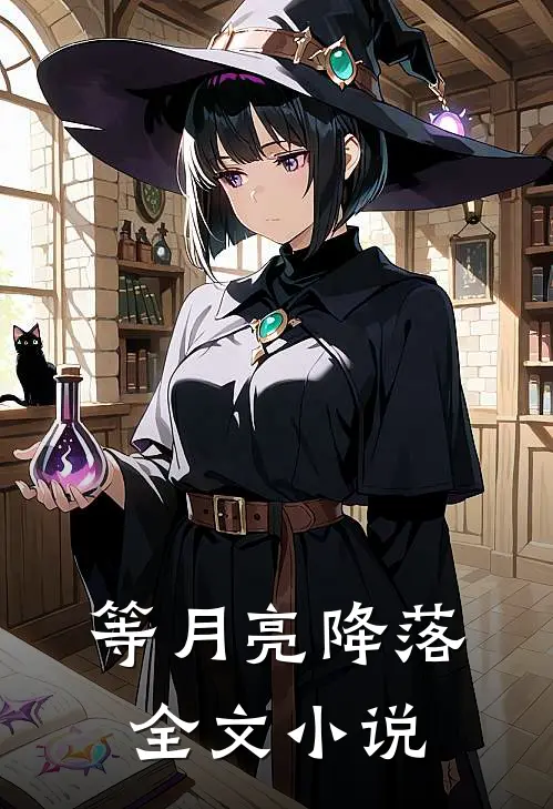 等月亮降落全文阅读