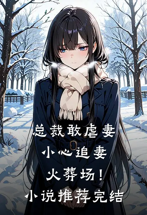 总裁敢虐妻,小心追妻火葬场!推荐完结文