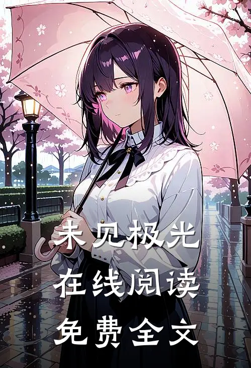 未见极光在线阅读免费全文