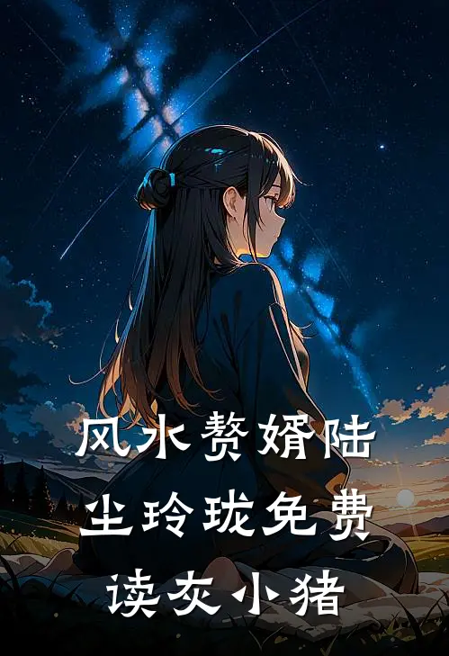 风水赘婿陆尘玲珑免费读灰小猪