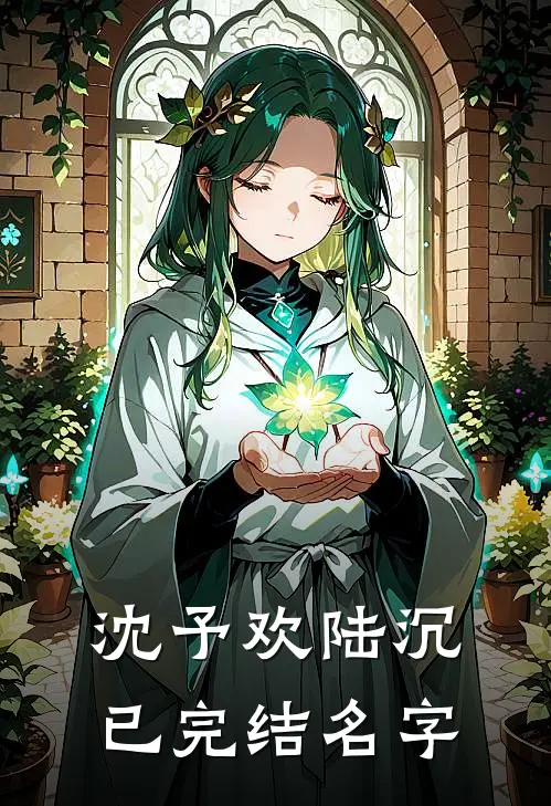 沈予欢陆沉已完结名字