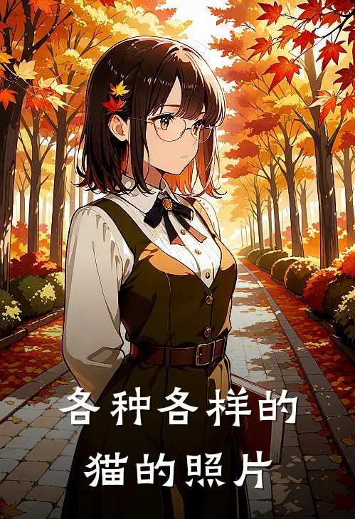 各种各样的猫的照片