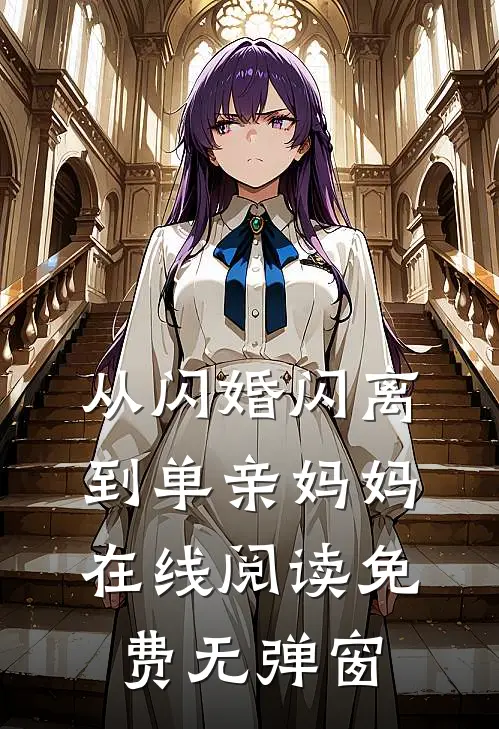 从闪婚闪离到单亲妈妈在线阅读免费无弹窗