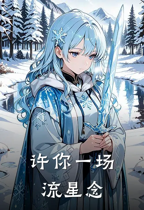 许你一场流星念