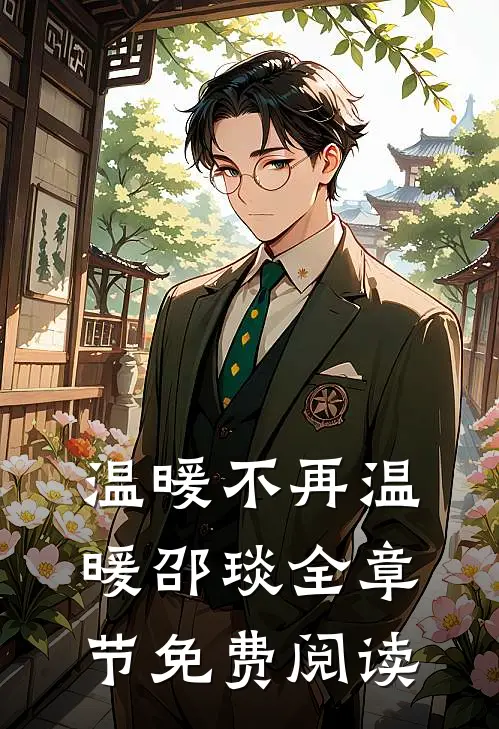 温暖不再温暖邵琰全章节免费阅读