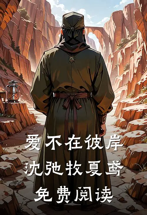 爱不在彼岸沈弛牧夏鸢免费阅读