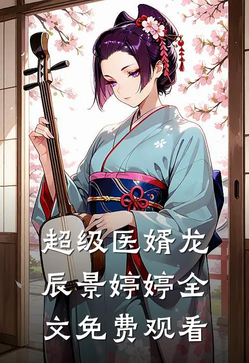 超级医婿龙辰景婷婷全文免费观看