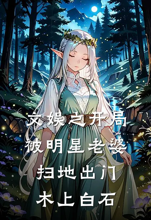文娱之开局被明星老婆扫地出门 木上白石