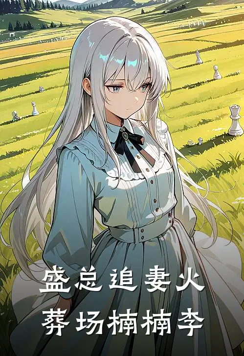 盛总追妻火葬场楠楠李