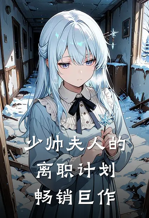 少帅夫人的离职计划畅销巨作