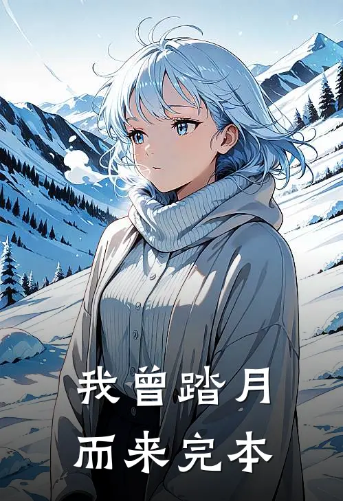 我曾踏月而来完本