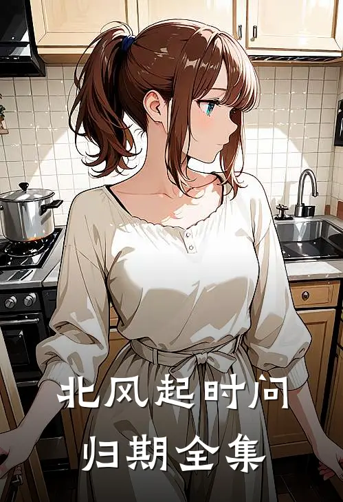 北风起时问归期全集
