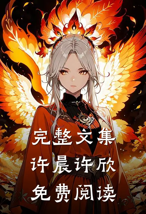 完整文集许晨许欣免费阅读
