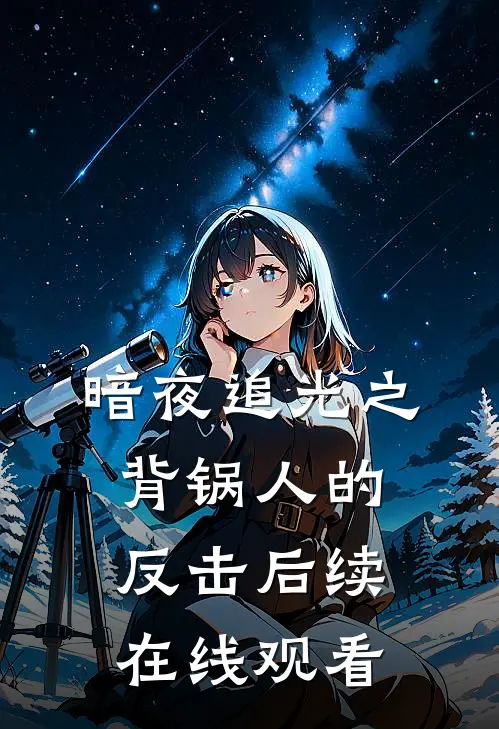 暗夜追光之背锅人的反击后续在线观看