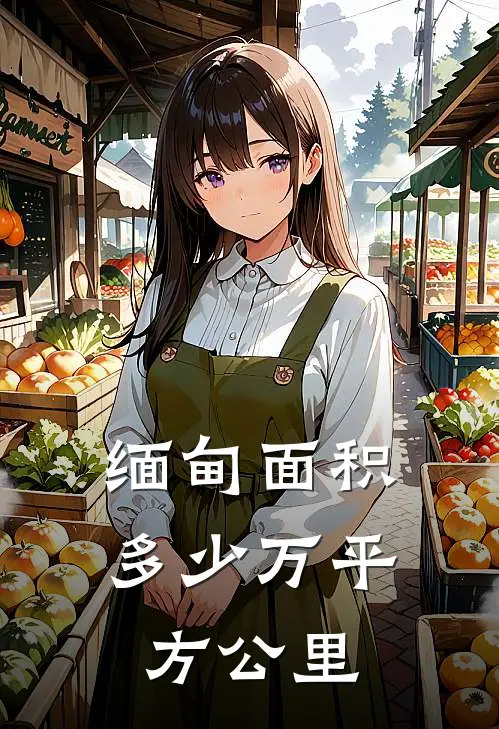 缅甸面积多少万平方公里