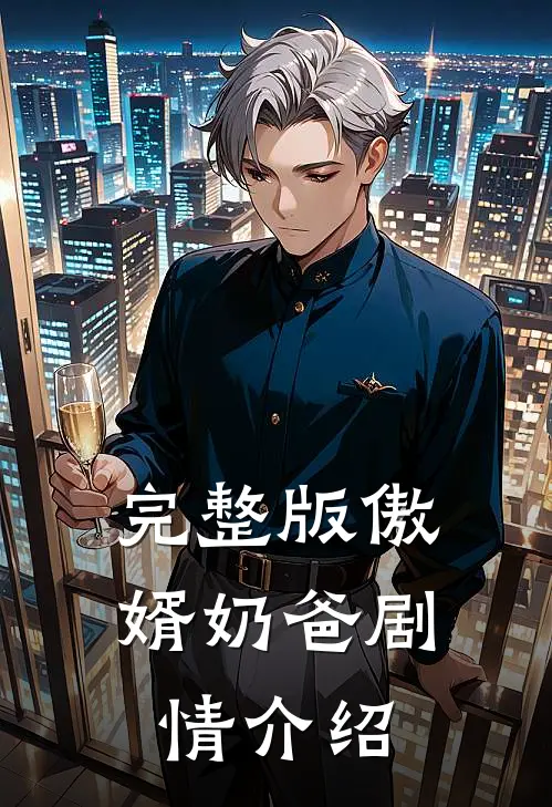 完整版傲婿奶爸剧情介绍