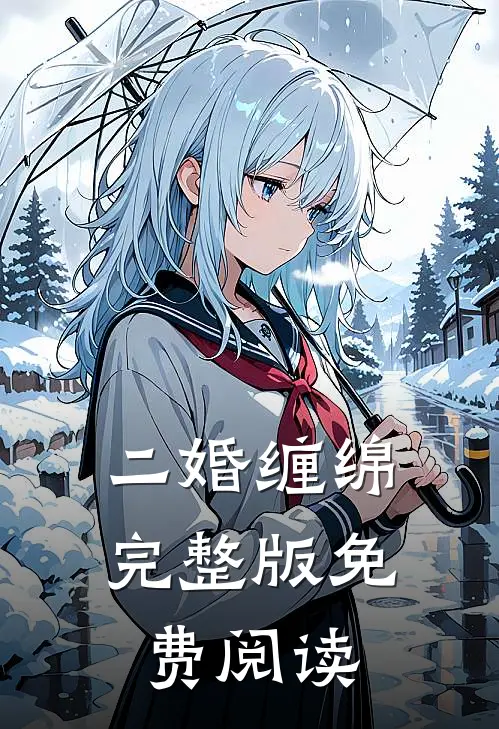 二婚缠绵完整版免费阅读