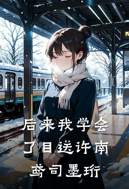 后来我学会了目送许南鸢司墨珩