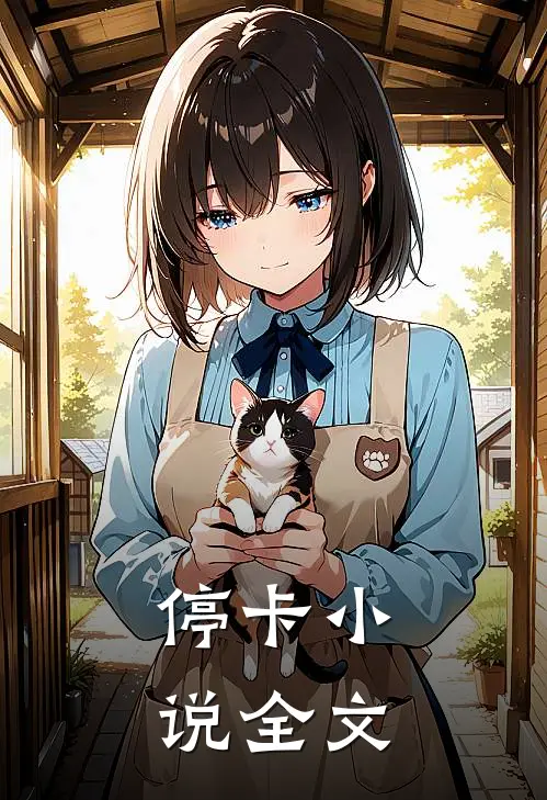 停卡全文