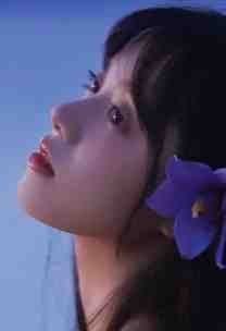 此后锦书休寄完整阅读