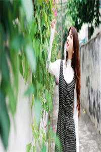 飞雁渡春秋几重高口碑