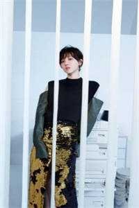 最后的轻语合集965完结