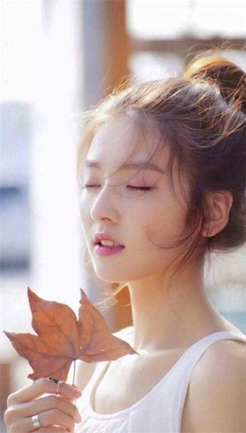 晚安，昨天小说畅读