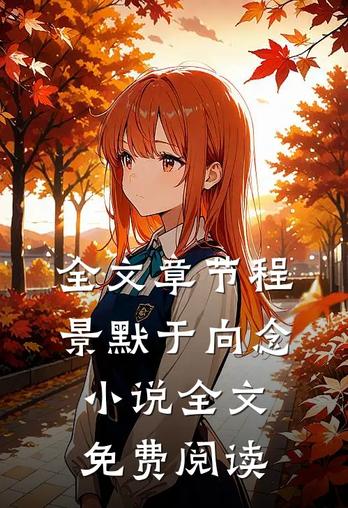全文章节程景默于向念小说全文免费阅读