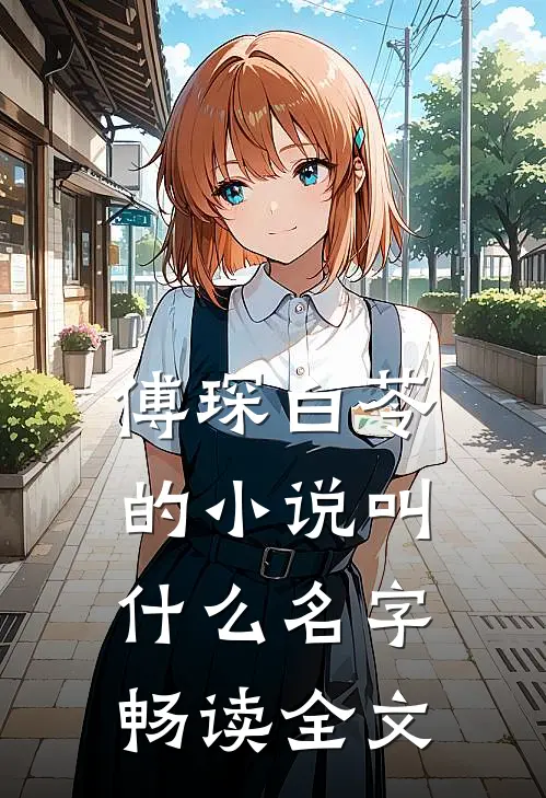 傅琛白苓的小说叫什么名字畅读全文