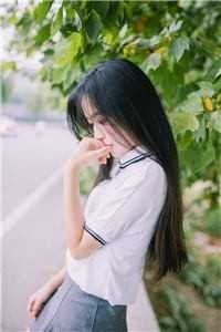 再无玫瑰全文+免费