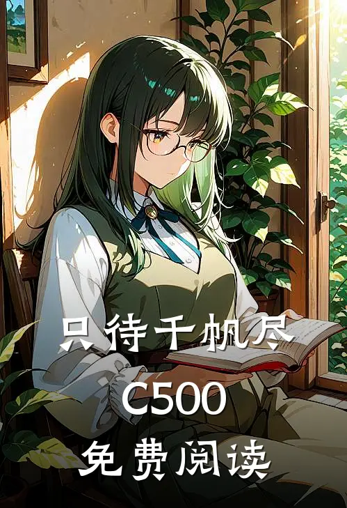 只待千帆尽C500免费阅读