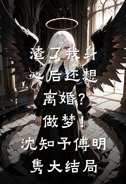 渣了我身心后还想离婚？做梦！沈知予傅明隽大结局