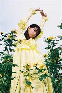 爱恨迟暮别恨秋小说免费