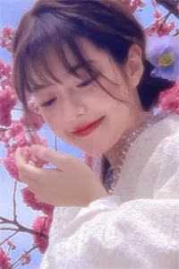 宜时序安全文免费阅读