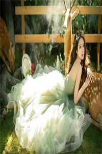 开局废皇子，别慌，先开个宝箱！杨慎杨君结局+番外