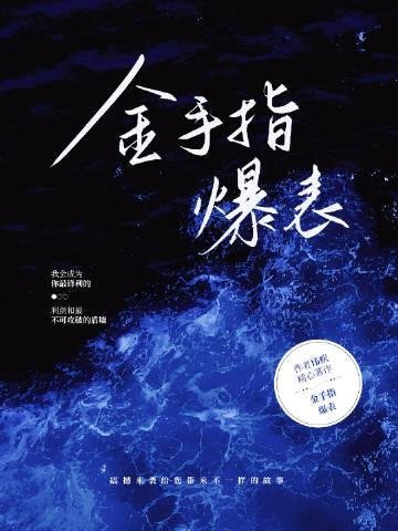 不属于海的风免费阅读