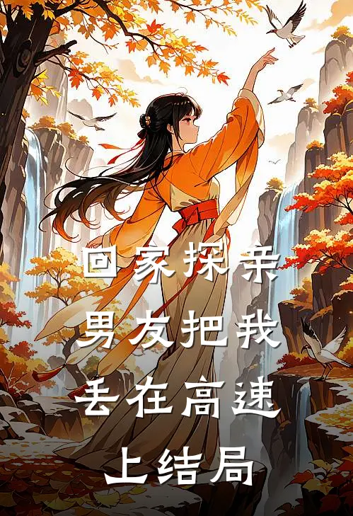 回家探亲,男友把我丢在高速上结局是