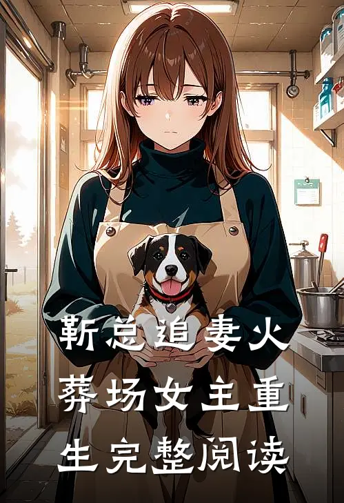 靳总追妻火葬场女主重生完整阅读