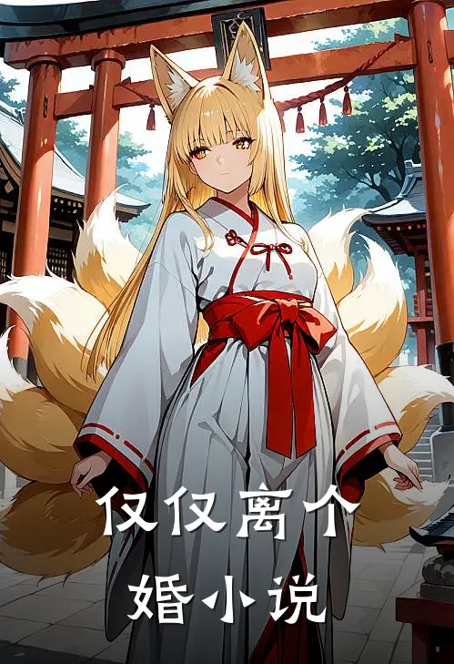 仅仅离个婚小说
