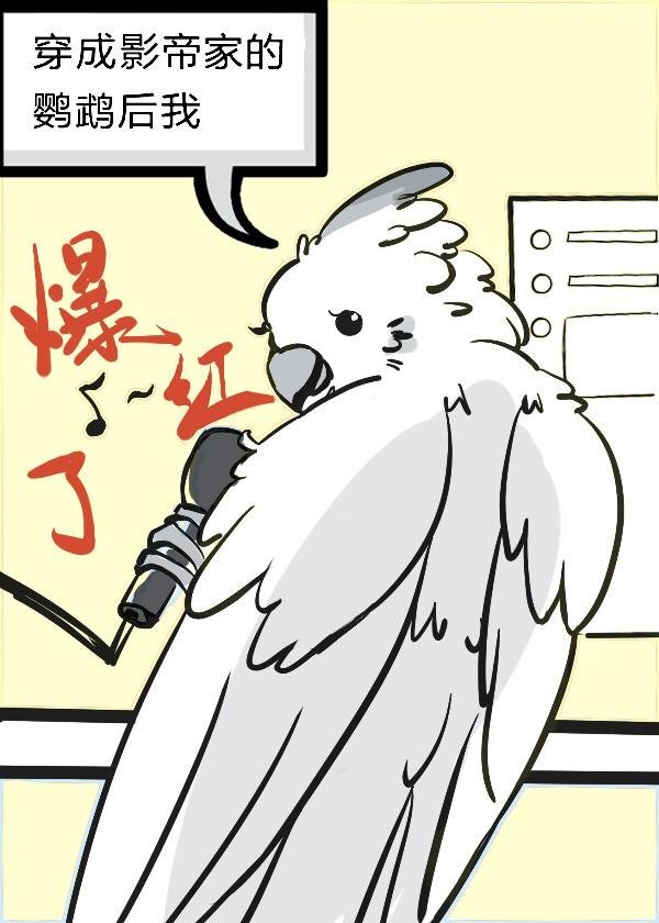 全文小说南笙殷寒小说