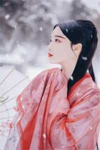 报销风波完整作品