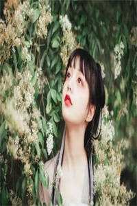 晚安，昨天免费