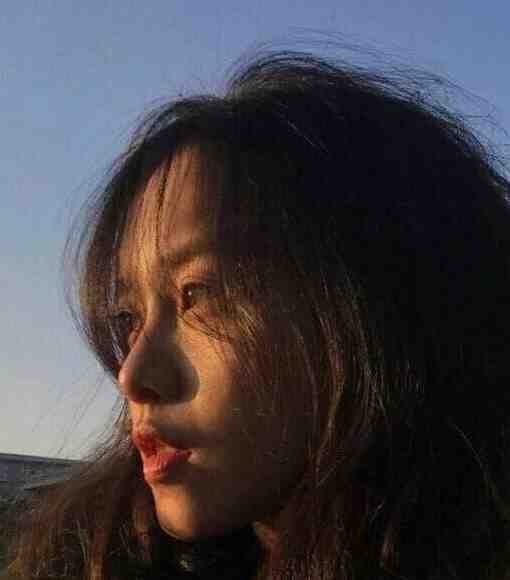 再见，格桑花海列表