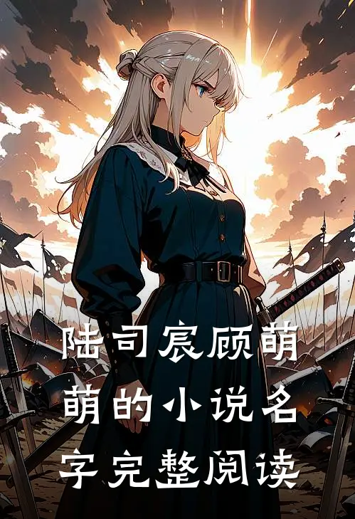 陆司宸顾萌萌的小说名字完整阅读