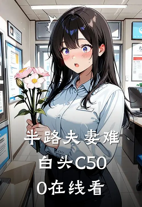 半路夫妻难白头C500在线看