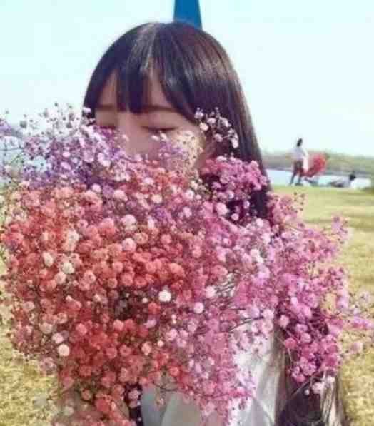 花开京港免费阅读全文