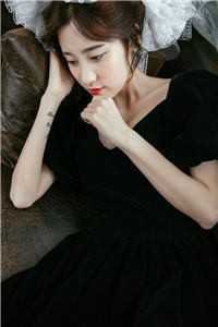 曾拥清风见明月最新热门小说